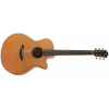 Furch Blue Plus Gc-CM CNR Active