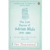 Lost Diaries of Adrian Mole, 1999-2001