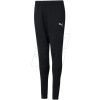 Tepláky Puma teamRISE Poly Training Pants Junior 657391 03