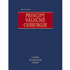 Principy válečné chirurgie
