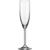 Leonardo Pohár na sekt DAILY 180 ml