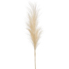 Pampas Branch cream Umelá tráva béžová 115 cm