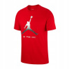 Nike Jordan Legacy AJ11 M S Shirt (Nike Jordan Legacy AJ11 M S Shirt)
