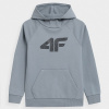 Sweatshirt 4F Jr. 4FJSS23TSWSM220 34S (119268) Black 158 cm