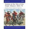 Armies of the War of the Triple Alliance 1864-70