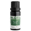 NOBILIS TILIA Éterický olej Tea tree extra(čajovník) 10 ml