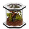 Terárium Terrario 0 l
