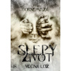 Slepý život