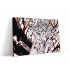 One Piece Obraz Whitebeard - 90x60