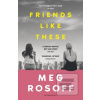 Friends Like These (Meg Rosoff)