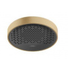 Hansgrohe 26229140 Rainfinity 250 1jet EcoSmart Horná sprcha pod strop, kartáčovaný bronz HG 26229140