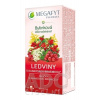 MEGAFYT Bylinková lekáreň OBLIČKY s kanadskou brusnicou, bylinný čaj 20x1,5 g