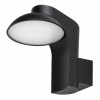 Rabalux Čierne fasádne LED svietidlo Wengen 12W IP54 77148