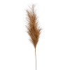 Pampas Branch brown Umelá tráva hnedá 115 cm
