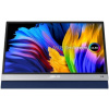 OLED monitor 13