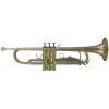 Trúbka Roy Benson TR - 202G Student Pro