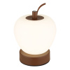 GLOBO – lighting 21011 Stolové svietidlo
