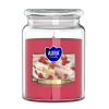 Bispol Premium Line Raspberry cloud 500 g