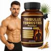 TRIBULUS KOTVIČNÍK NAJSILNEJŠÍ EXTRAKT TESTOSTERÓN SEX LIBIDO POTENCIA