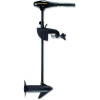 MINNKOTA Minn Kota ENDURA C2 55 (36