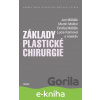 E-kniha Základy plastické chirurgie - Jan Měšťák, Ondřej Měšťák