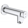 Grohe Euroeco Cosmopolitan T - Samouzatvárací nástenný ventil, chróm 36266000