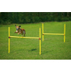 Karlie Agility prekážka, žltá