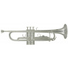 Bb trúbka Roy Benson TR-202