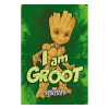 Pyramid International Marvel Plakát Pack Guardians of The Galaxy I Am Groot 61 x 91 cm (4)