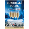 Co odhalí bouře - Cooper Catherine