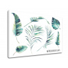 Obraz na stenu s textom Watercolor exotic plants (moderné obrazy s textom)