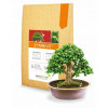 Symbiom Symbivit Bonsai - 150 g