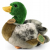 PLYŠOVÁ HRAČKA KAČICA KRÍŽOVKA OBYČAJNÁ DUCK PLUSH
