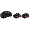 BOSCH - zahrada/dílna Bosch 2× GBA 18V 5,0Ah + GAL 1880 CV Professional (1.600.A00.B8J)