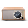 Sieťové rádio DAB+, FM Sharp DR-450(BR)