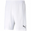 Puma teamRISE