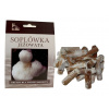 Korálovec ježatý (Hericium erinaceus) 20 ks - podhubie na kolíkoch