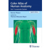 Color Atlas of Human Anatomy