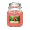 Yankee Candle The Last Paradise 411 g
