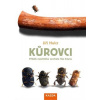 Kůrovci - Jiří Hulcr