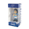 Minix Futbalová Minix Icon Diego Maradona Napoli