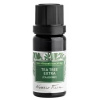 NOBILIS TILIA Éterický olej Tea tree extra(čajovník) 50 ml