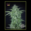 Élite Seeds - Llimonet Haze Auto CBD 7 ks - Semená neobsahujú THC