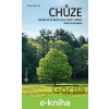 E-kniha Chůze - Libby DeLana
