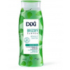 Dixi šampón Breza 250 ml