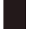 Inebrya Bionic Natural 3/0 Dark Chestnut 100 ml