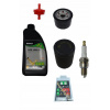 Servisná súprava pre MTD motor THORX 382 439 CCM