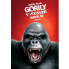 Gorily v podsvetí