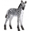 Animal Planet Zebra mláďa