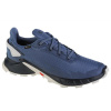 Salomon Alphacross 4 GTX M 471168 running shoes (194446) Black 42